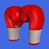 Boxing Trainer: Punch Master icon