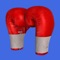 Step into the Boxing Ring: Your Ultimate Boxing Gym Simulator on Apple Vision Pro