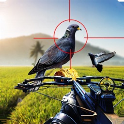 Spy Pigeon Bowhunting 3D