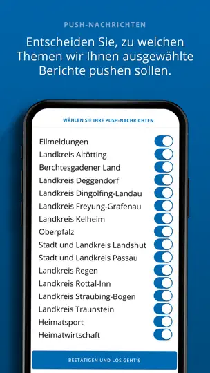 Screenshot von PNP News auf dem iPhone 4