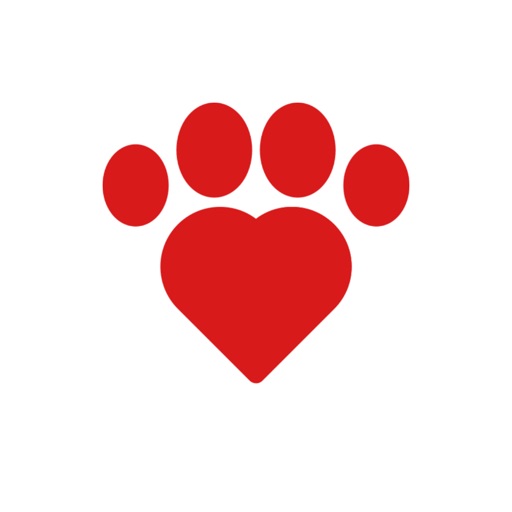 4Paws – Miłość przez zwierzęta