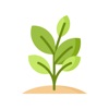 Planty: Water plant icon