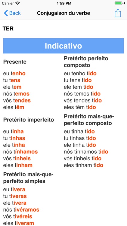 Il Coniugatore screenshot-5