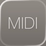 Get NS MIDI Player for iOS, iPhone, iPad Aso Report