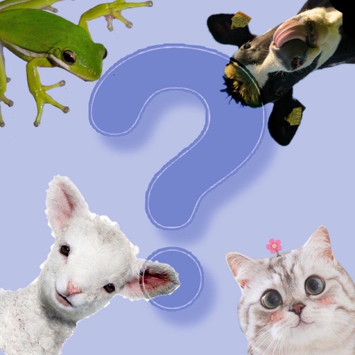 Animal Voice Challenge icon