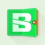 Simpler Budget