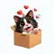 Crazy Cute Cats anmeldelser