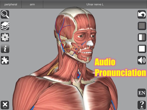 3D Anatomyのおすすめ画像3