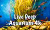 Live Deep Aquarium 4k:Deep Sea problems & troubleshooting and solutions