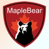 Maple Bear Chihuahua icon