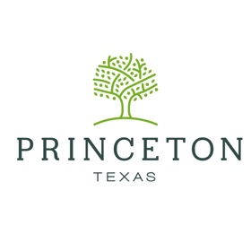 螢幕擷取畫面 (3) City of Princeton