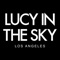 Lucy in the Sky is a video-based shopping app, showcasing the styles designed in Downtown Los Angeles by Lucy in the Sky