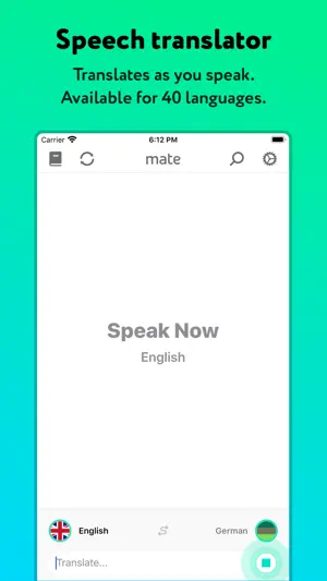 Language Translator by Mate screenshot 4
