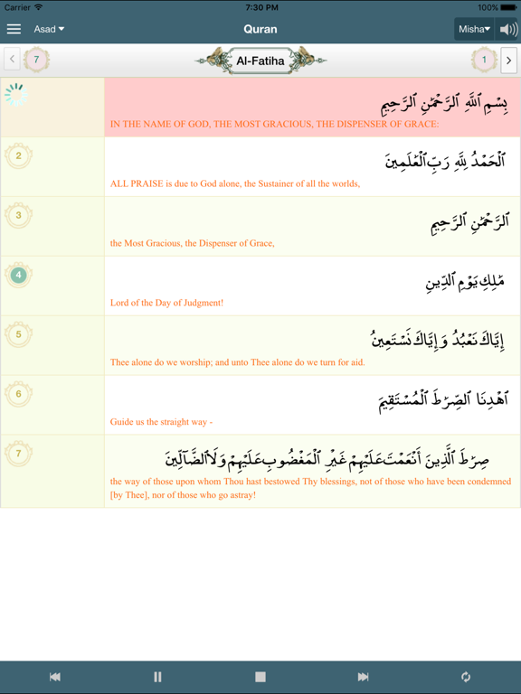 Screenshot #5 pour Alim Quran and Hadith Platform
