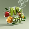 Matcha Escape icon