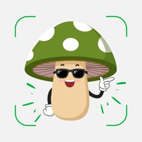 Mushroom Identifier: Sporeal