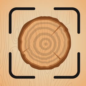 Wood Identifier