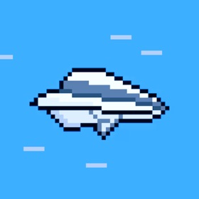 PaperPlane: World Record