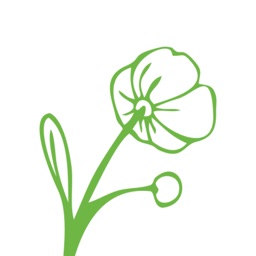 Базилик – цветочная лавка!