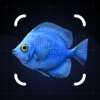 Fish Identifier: Photo Scanner icon