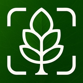 Tree Identifier: Tree id