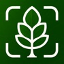 Get Tree Identifier: Tree id for iOS, iPhone, iPad Aso Report