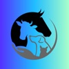 LASER THERAPY TIPS icon