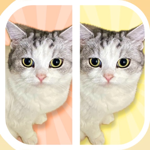 Cat Find Differences icon