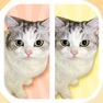 Get Cat Find Differences for iOS, iPhone, iPad Aso Report