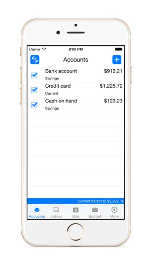 Скриншот Денежный Журнал Платный на iPhone 1