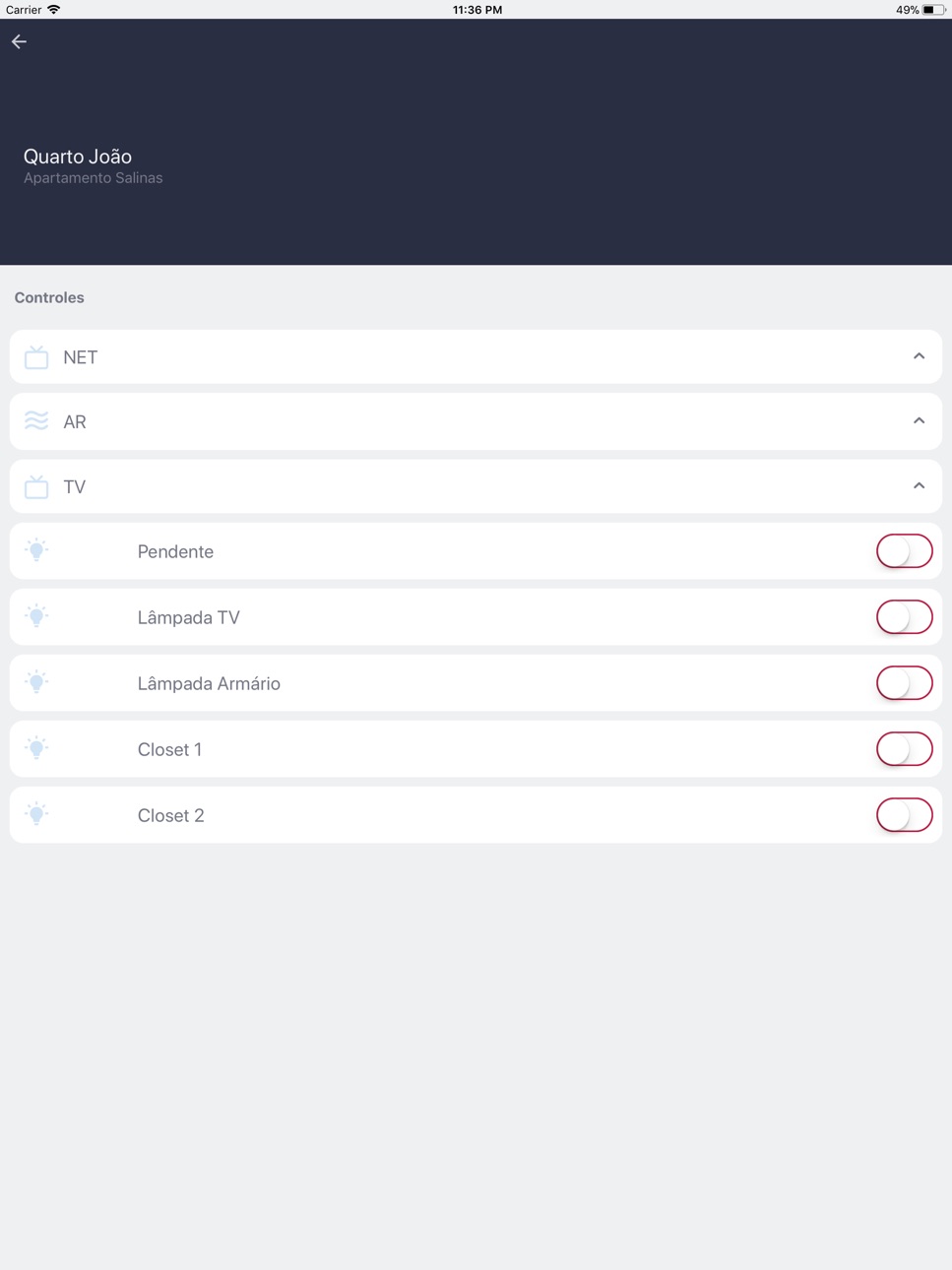 iPad screenshot