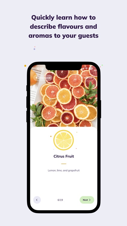 Knowbie - Beverage Training