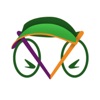 Camaleon Reports App icon