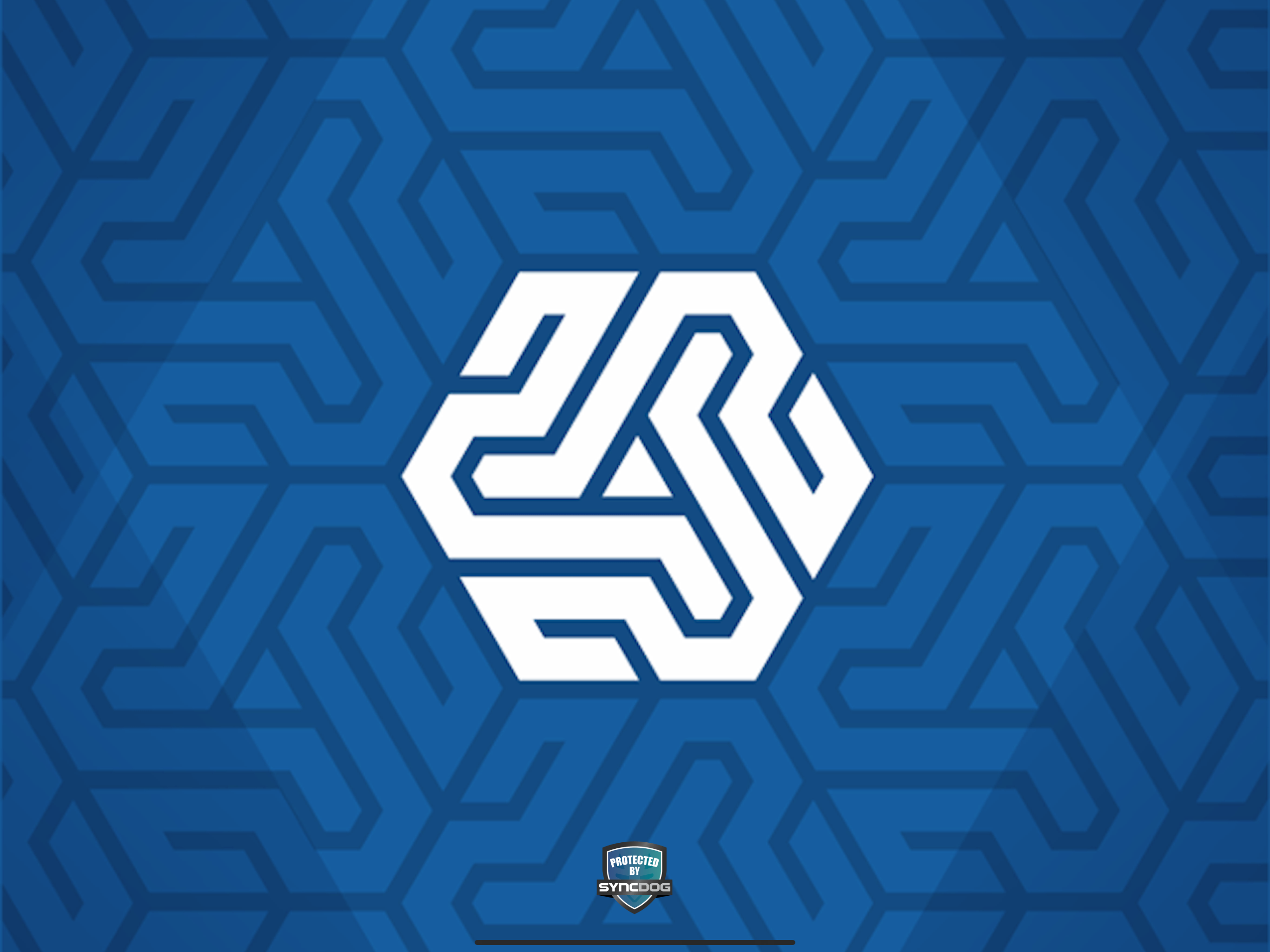 SecureSystems by SyncDog