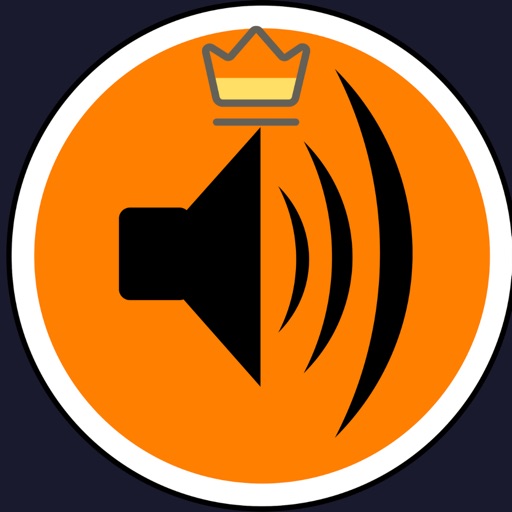 Dust Cleaner - Speaker Cleaner