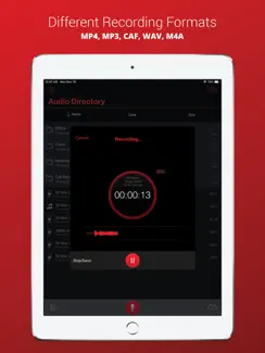 Voice Recorder Plus Pro iPad image 4