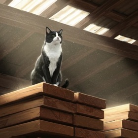 Lumber Cat Calculator