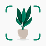 AI Plant Identifier: Plantify