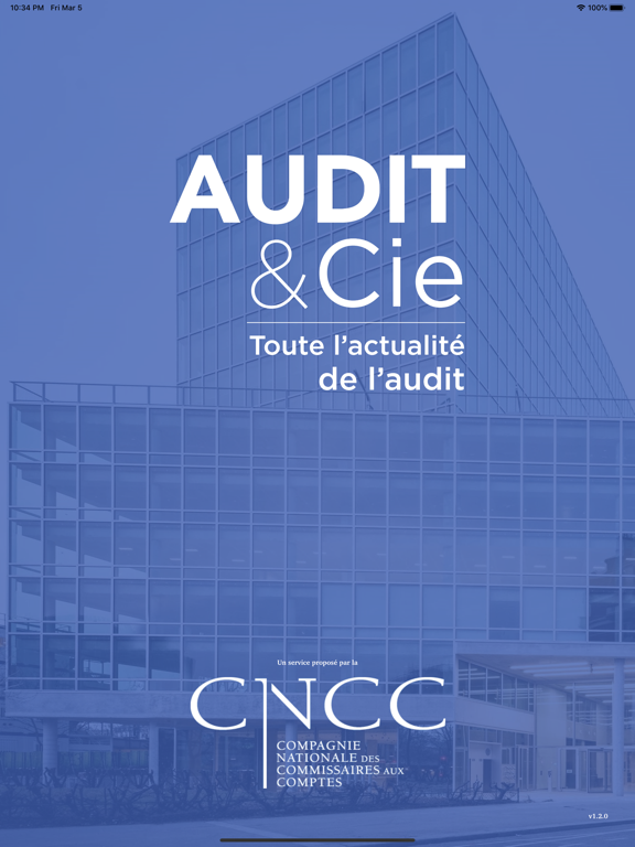 Screenshot #4 pour AUDIT & Cie