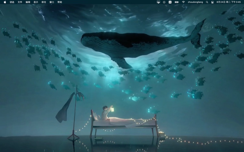 Dynamic Wallpaper Library Screenshot