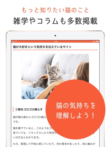 猫のニュースや飼い方の情報をまとめ読み -ねこちゃんホンポ-のおすすめ画像4