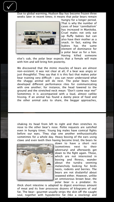 Album Polar Bears HD iPhone screenshot 5 - Photo & Video app