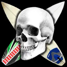 Surf or Die app icon