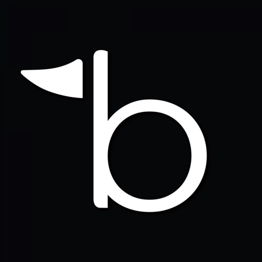 Bogibox icon