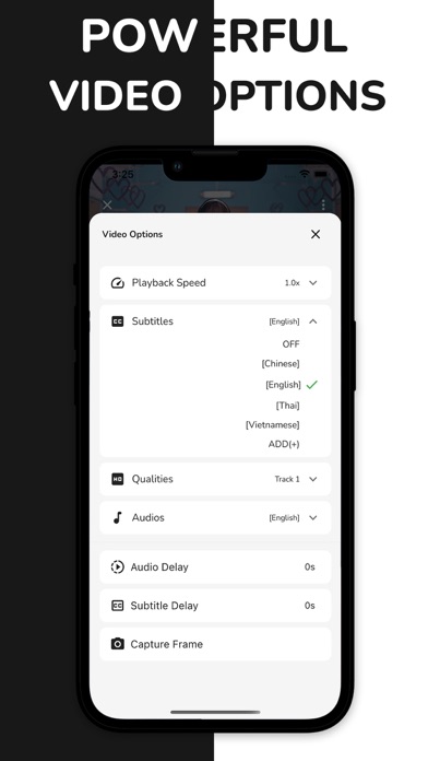 VidSub: Video Subtitle Creator Screenshot