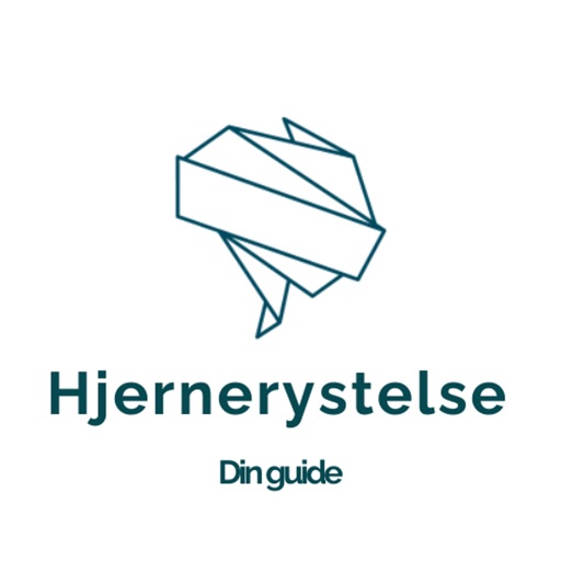 Hjernerystelse - din guide