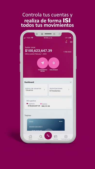 Banisi Empresa Screenshot