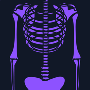Basic Radiology