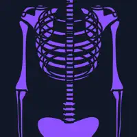 Basic Radiology