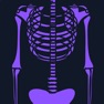 Get Basic Radiology for iOS, iPhone, iPad Aso Report